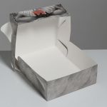 Коробка складная «Енотик», 25 × 25 × 10 см
