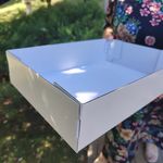 Коробка для кейтеринга / фуршета 35x25x8 см Белая
