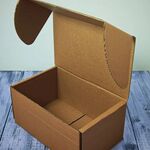 Коробка из гофрокартона 25,5*15,5*11,8 см (230*150*110)