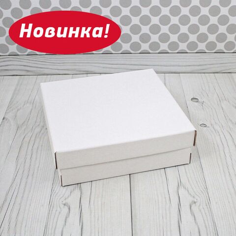 Коробка для кейтеринга 25*25*8, матовая